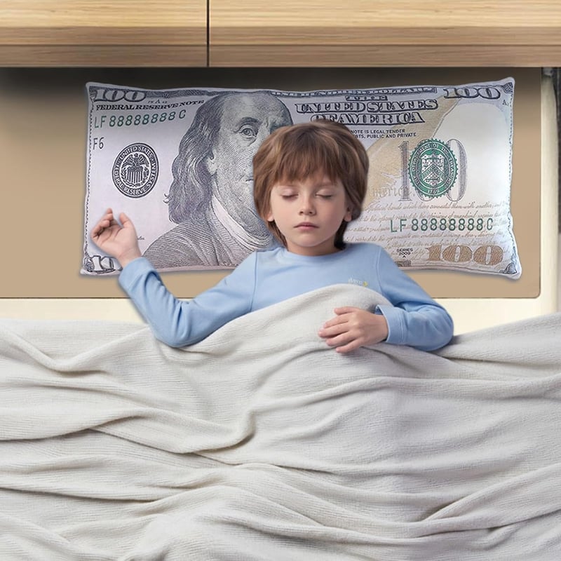 100 Dollar Dekokissen aus Plüsch für Wohnzimmer und Schlafzimmer