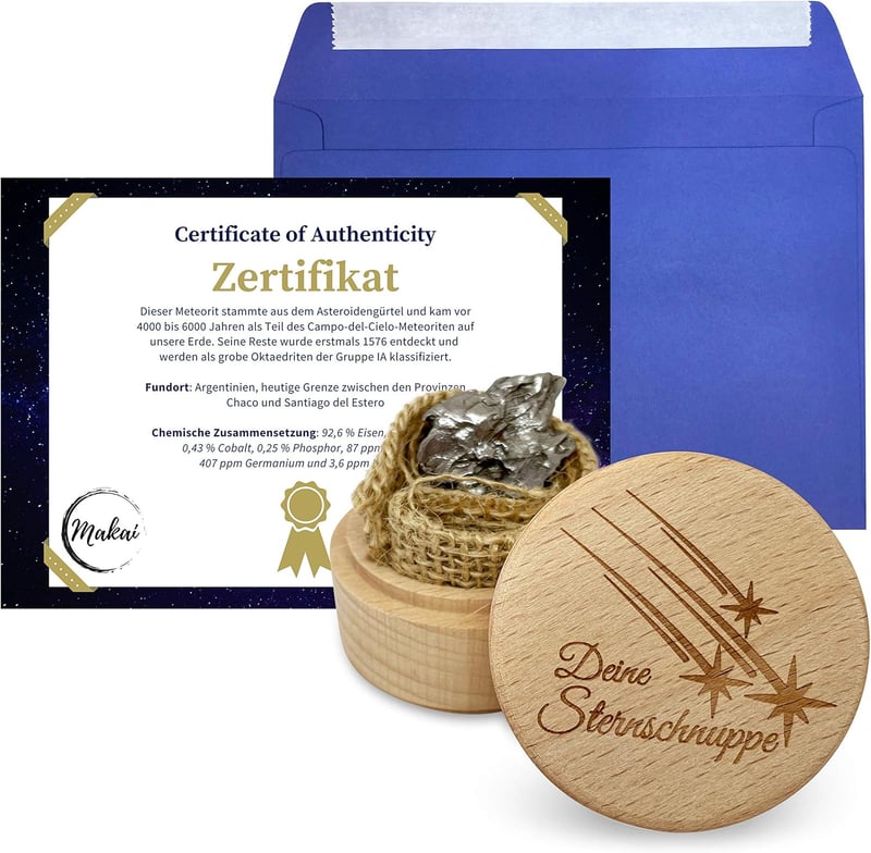 Echter Campo del Cielo Meteoriten-Sternschnuppe mit Zertifikat und Box