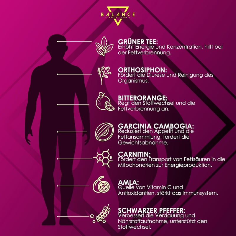 Ketosan® Detox-Diätpillen zur schnellen Gewichtsreduktion mit grünem Tee und Garcinia Cambogia