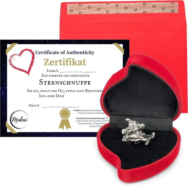 Echter Campo-del-Cielo-Meteorit mit Echtheits-Zertifikat und Box