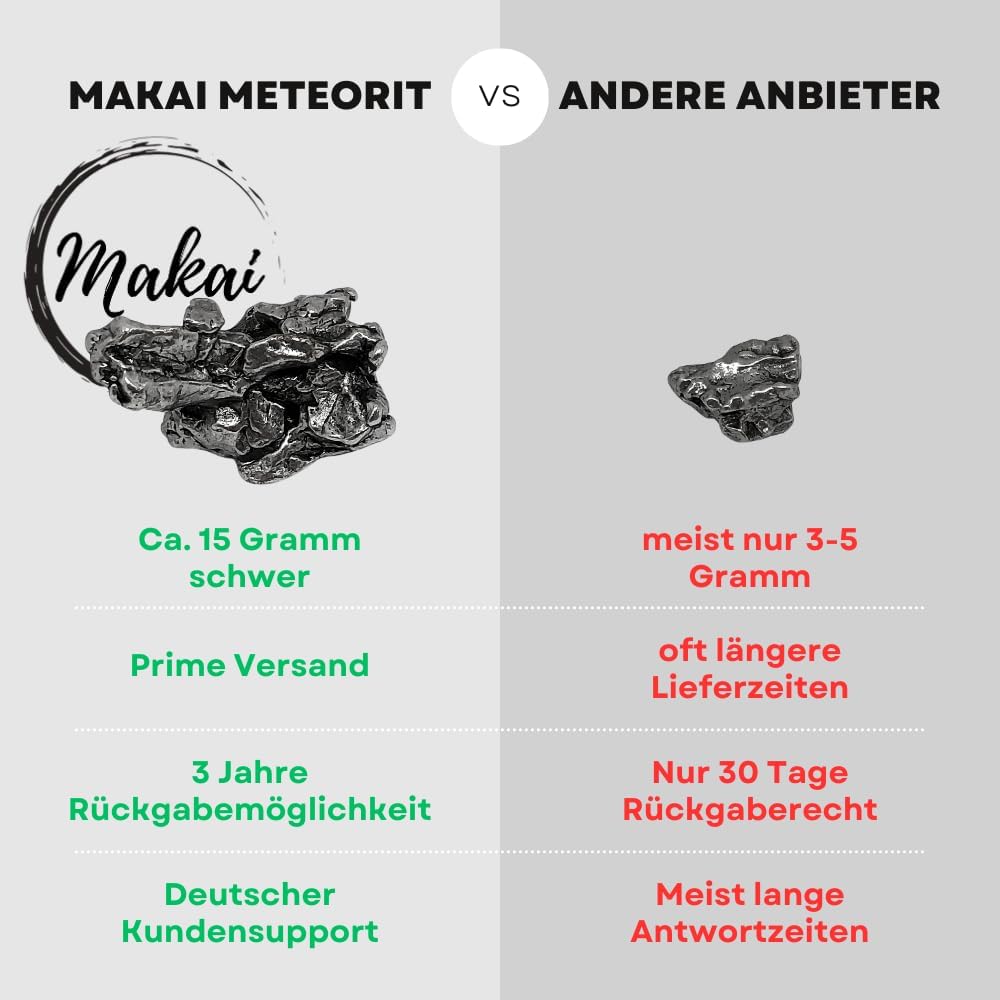 Echter Campo-del-Cielo-Meteorit mit Echtheits-Zertifikat und Box