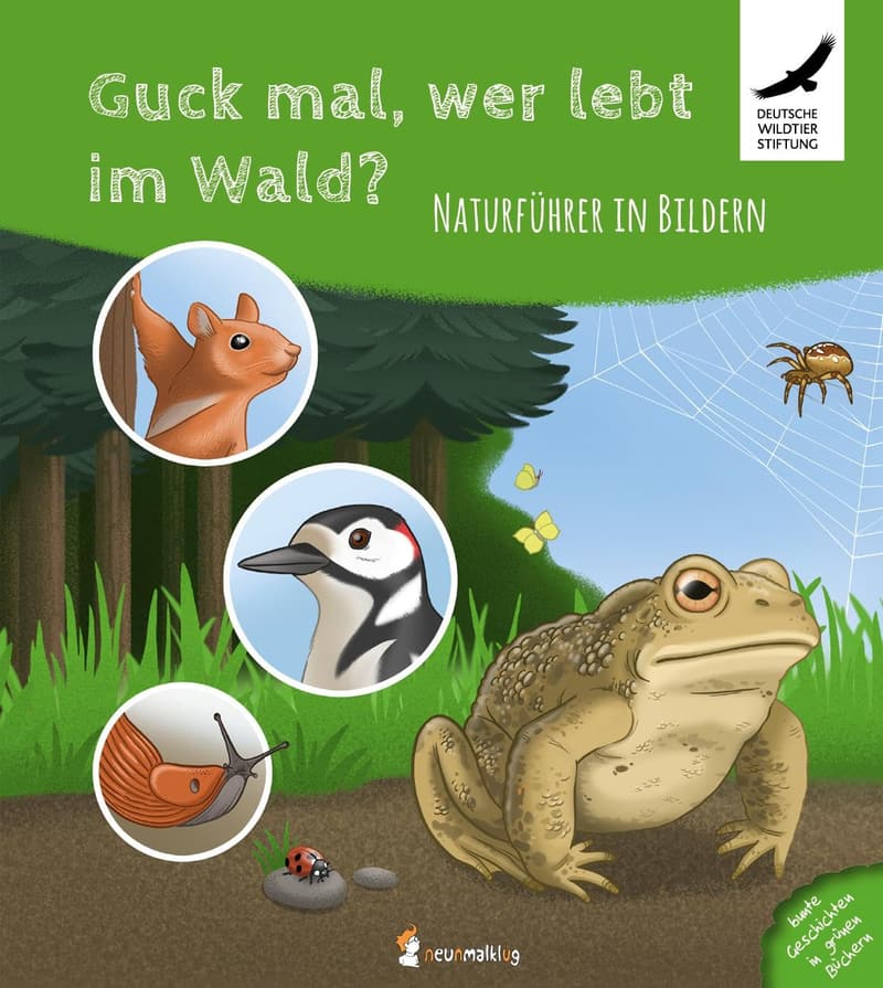 Naturführer für Kinder: Entdecke den Wald ohne Text!