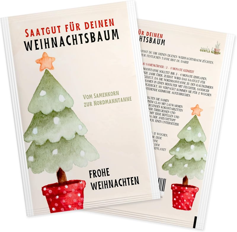 Weihnachtsbaum Samen für Nordmanntanne – Tannensamen zum Pflanzen