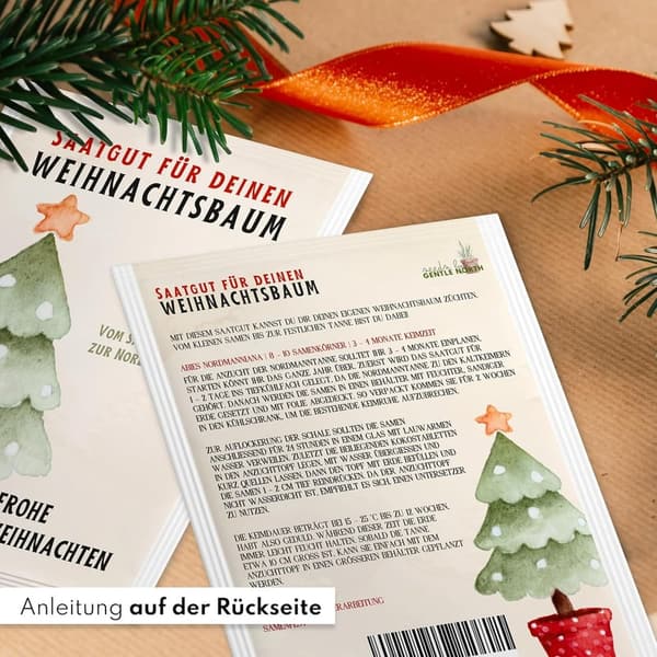 Weihnachtsbaum Samen für Nordmanntanne – Tannensamen zum Pflanzen