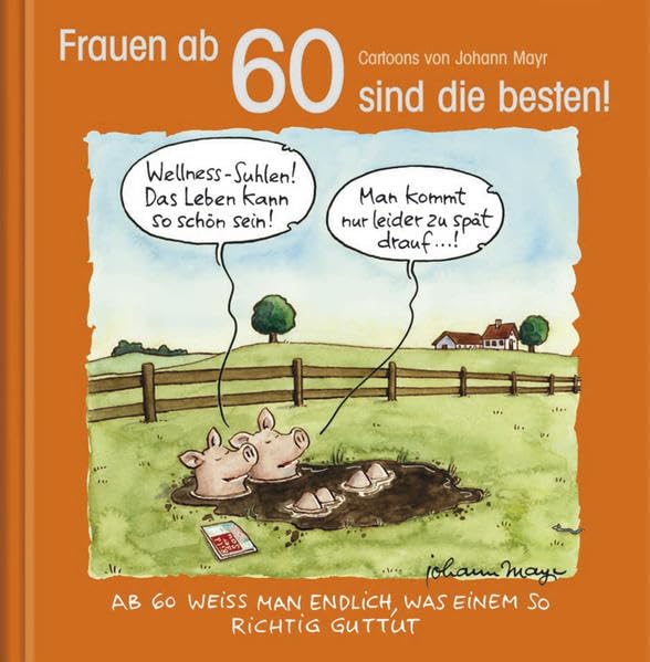 Cartoon-Geschenkbuch zum runden Geburtstag für Frauen ab 60 mit Silberfolienprägung