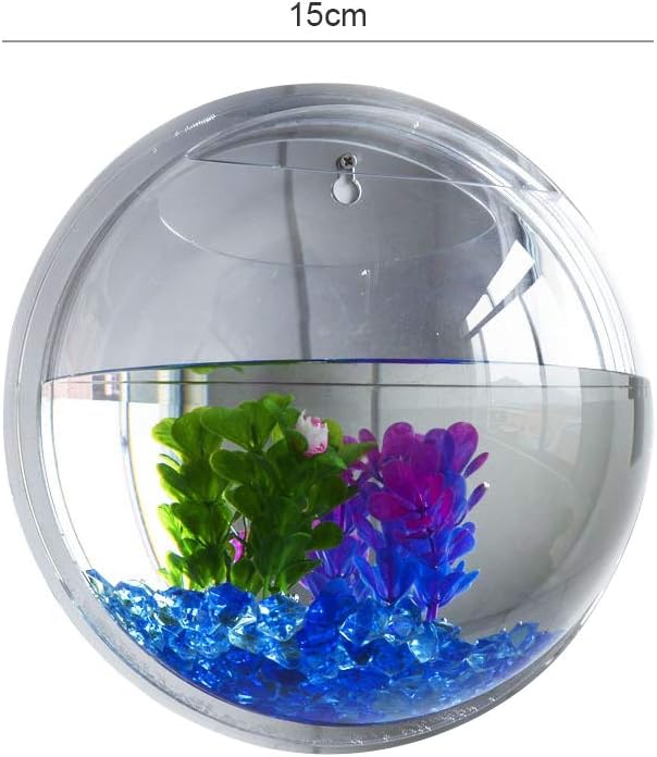 Wandbehang-Aquarium für Luftpflanzen mit Montageoption