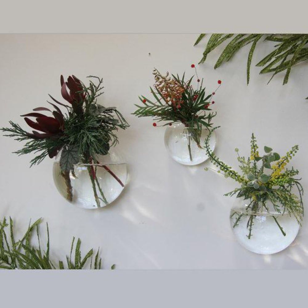 EssenceLiving Set von 3 Wandblasen Terrarien für Indoor Pflanzen