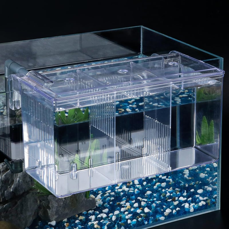 Pawfly Acryl Fischbrutkasten für Babyfische und Garnelen