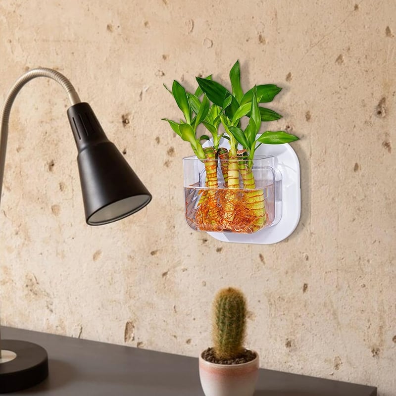Wandmontiertes Aquarium mit Pflanzenvase für heimische Dekoration