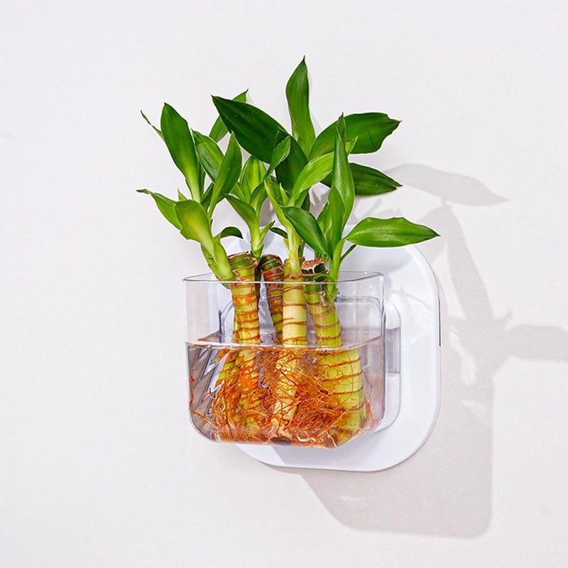 Wandmontiertes Aquarium mit Pflanzenvase für heimische Dekoration