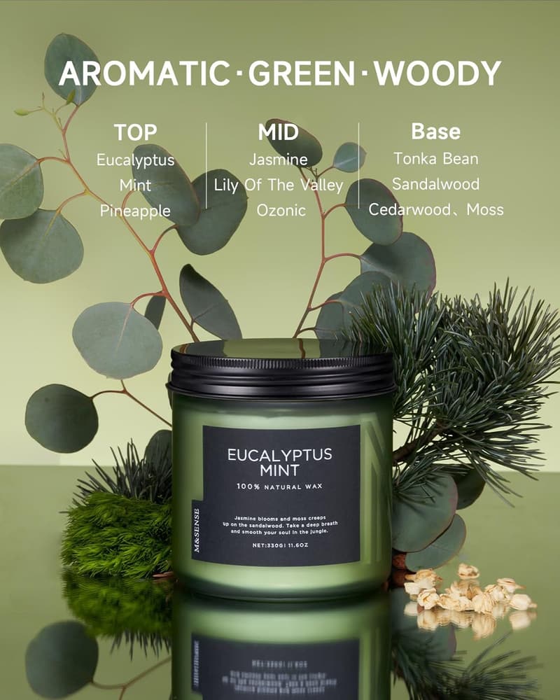 Aromatherapie Duftkerze Eukalyptus-Minz, 330g, Sojawachs, 70 Std. Brenndauer