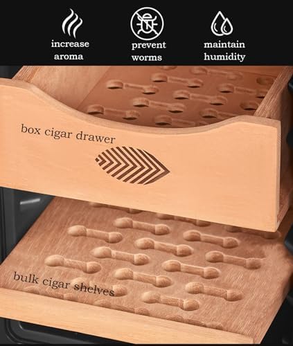 Elektrischer Zigarren-Humidor mit Temperaturregelung und Zedernholzregal