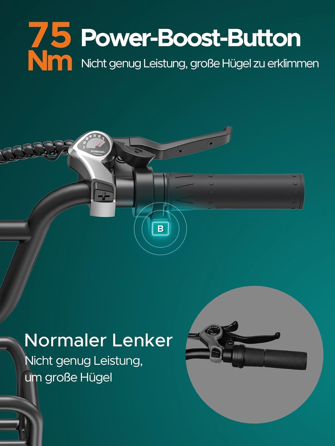 ENGWE E-Bike für Herren mit 250W Motor und 48V 13Ah Batterie