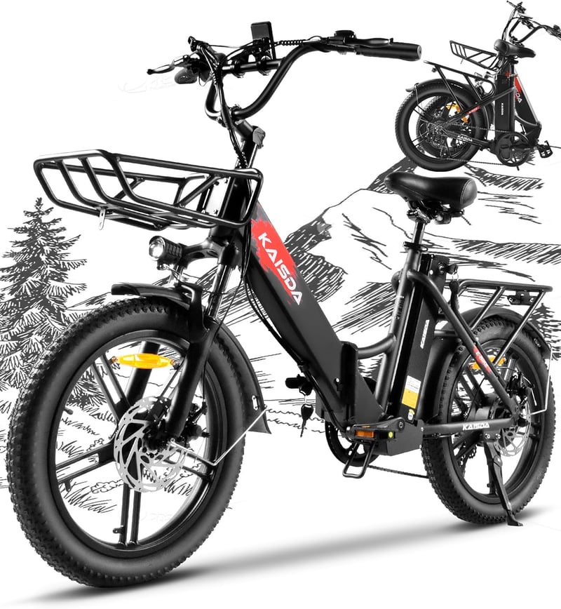 KAISDA 20 Zoll Fatbike E-Bike mit Doppelakku 36V, 150kg belastbar