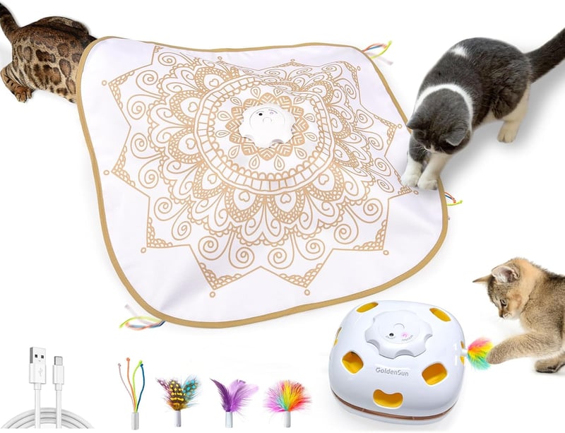 Interaktives 4-in-1 Katzenspielzeug für drinnen – Aufladbar mit 3 Ersatzfedern