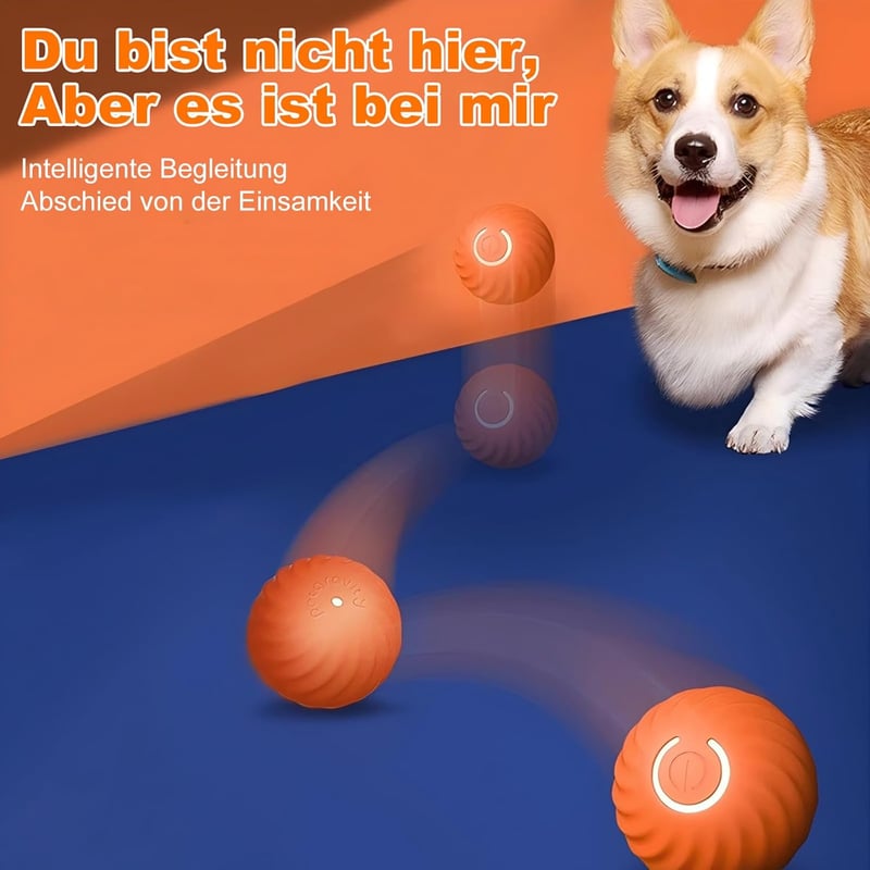 Interaktiver selbstrollender LED-Hundeball mit Type-C-Kabel