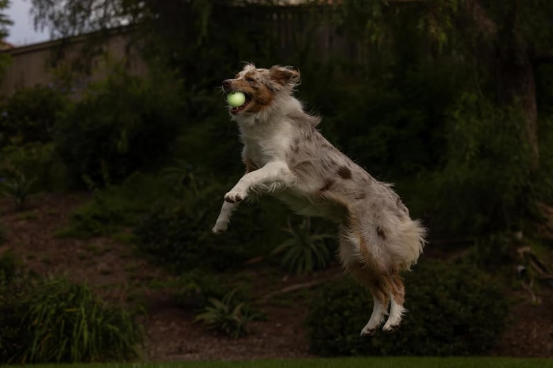 Max Glow Hundeball – phosphoreszierender Gummiball für mittelgroße Hunde