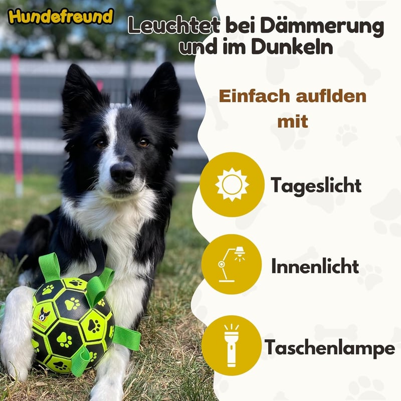 Interaktiver Hundefußball mit Haltegriffen und Pumpe – 15 cm
