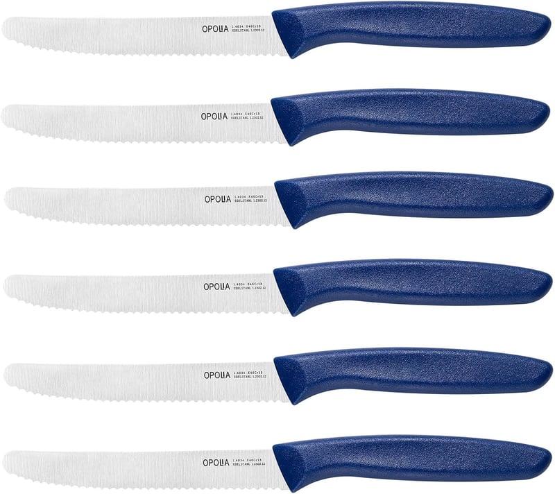 OPOLIA 6er Set Blaue Frühstücksmesser aus rostfreiem Edelstahl