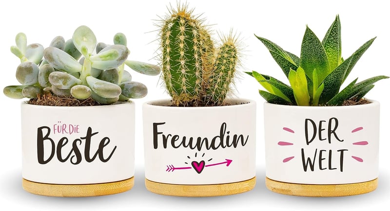 Geschenk für beste Freundin: Kräutergarten Töpfe zum Bepflanzen