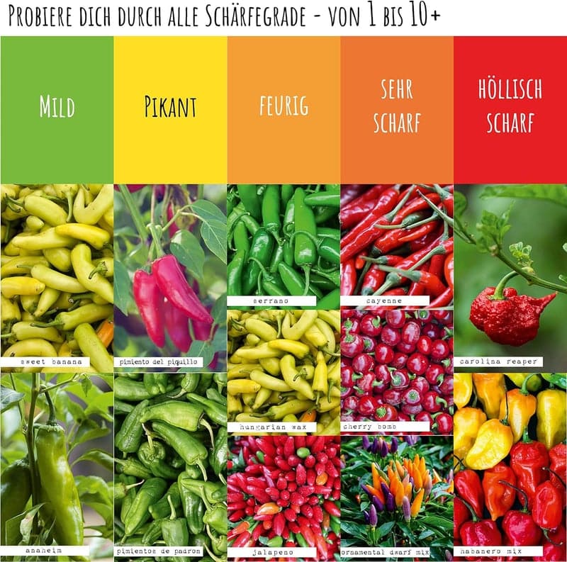 Chili Samen Set – 12 hochwertige Sorten von mild bis scharf