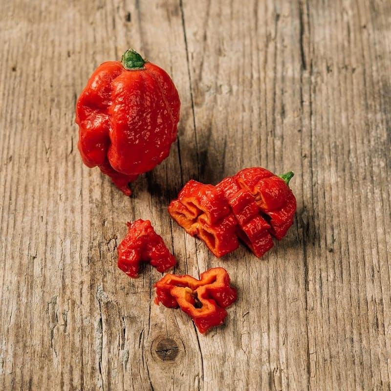 Chili 'Carolina Reaper' - Extrem scharfe Sorte