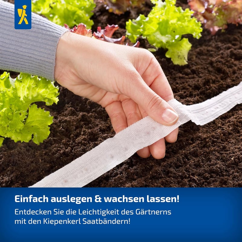 Rettichsamen Rex für Frühanbau - Mild-würzig, 5 lfd. Meter