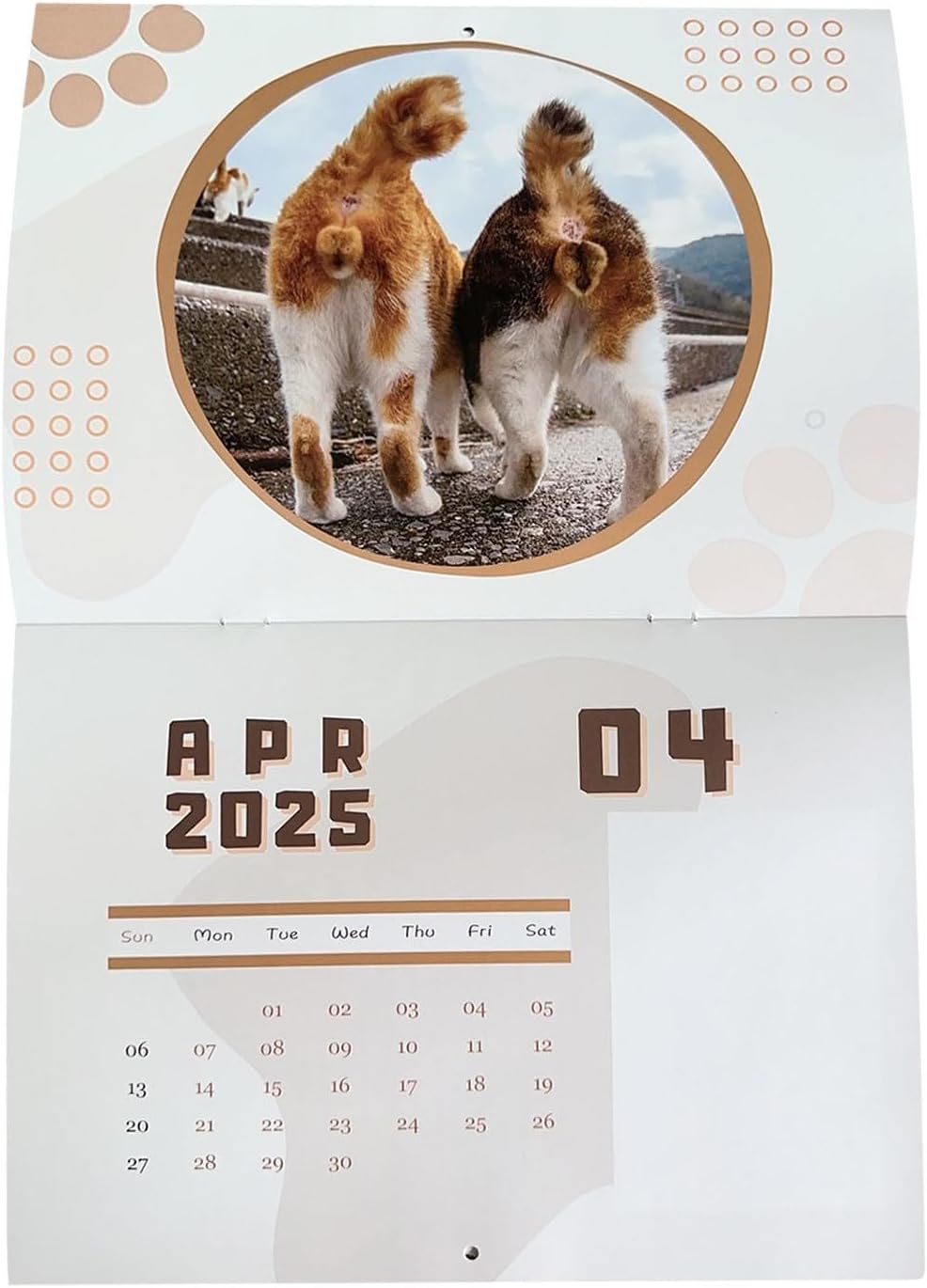 Witziger Wandkalender 2025 für Katzenliebhaber – 25 x 19 cm