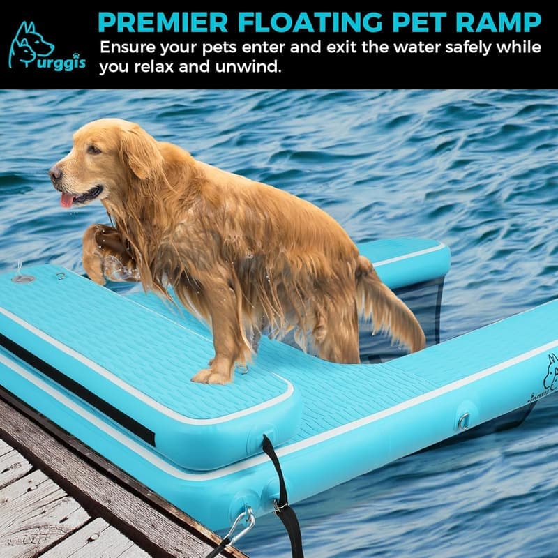 Breite Hundewasserrampe für Pool und Garten