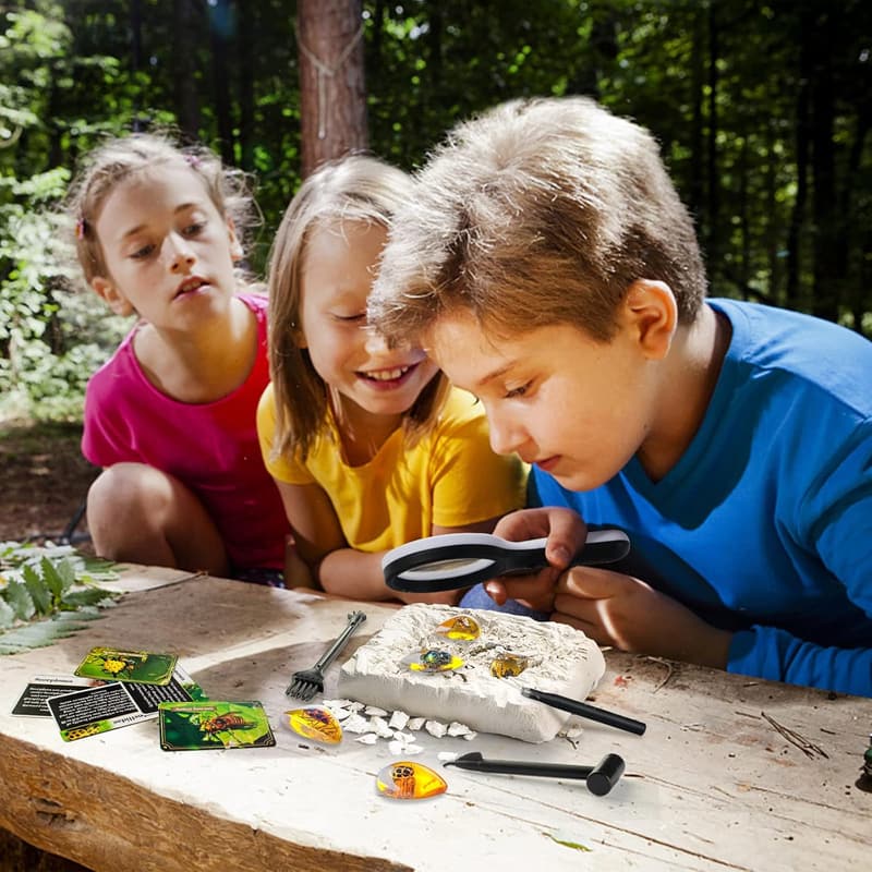 Bernstein Ausgrabungsset für Kinder (6-12 Jahre) mit Fossilien und Edelsteinen
