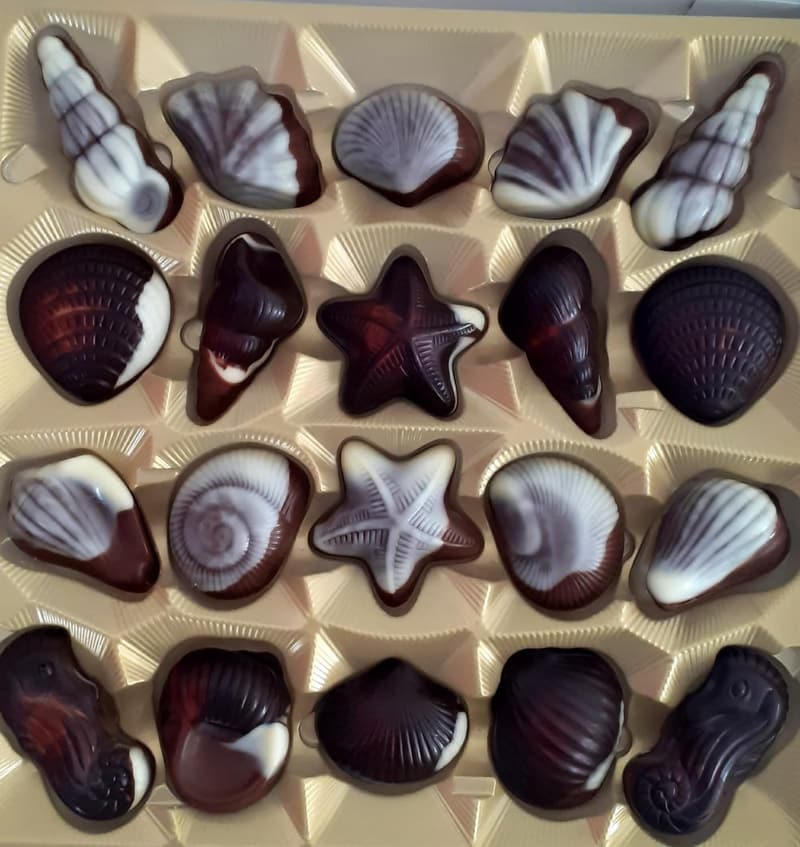 Belgische Pralinen in Muschelform mit Haselnuss-Nougatfüllung, 250g