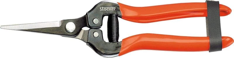 Spezielle Traubenschneider 19. Jahrhundert - Stocker