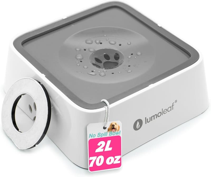 LumoLeaf 2L Hundewassernapf mit Anti-Schwapp und Kohlefilter