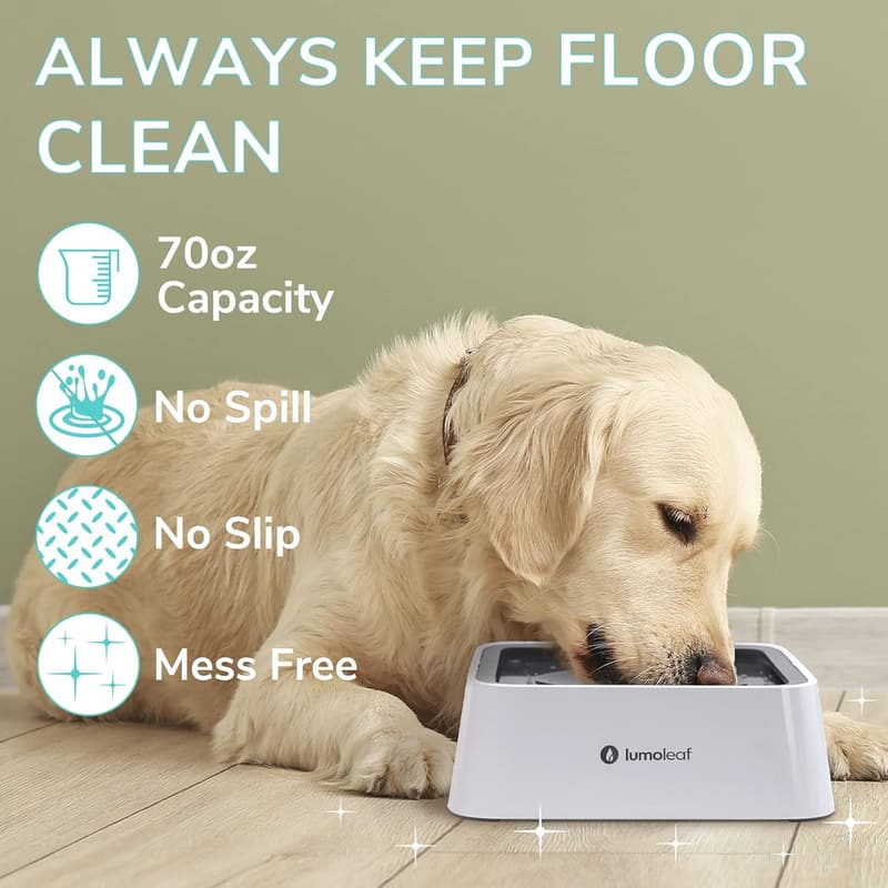 LumoLeaf 2L Hundewassernapf mit Anti-Schwapp und Kohlefilter