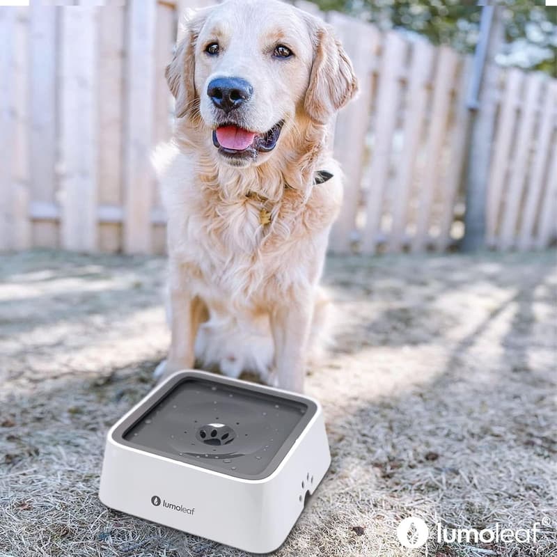 LumoLeaf 2L Hundewassernapf mit Anti-Schwapp und Kohlefilter