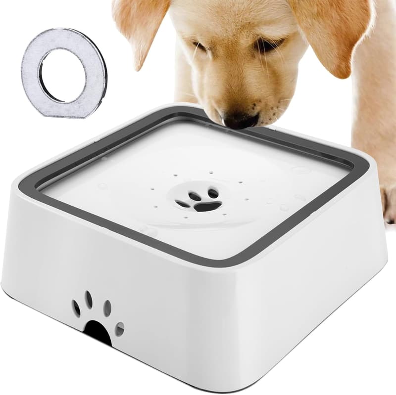 Anti-Schlabber Wassernapf für Hunde mit Karbonfilter – rutschfest und auslaufsicher