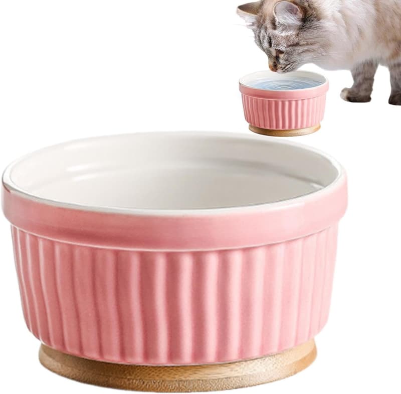 Beheizter Wassernapf aus Keramik für Katzen und Hunde im Winter