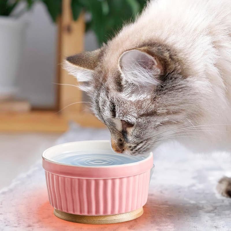 Beheizter Wassernapf aus Keramik für Katzen und Hunde im Winter