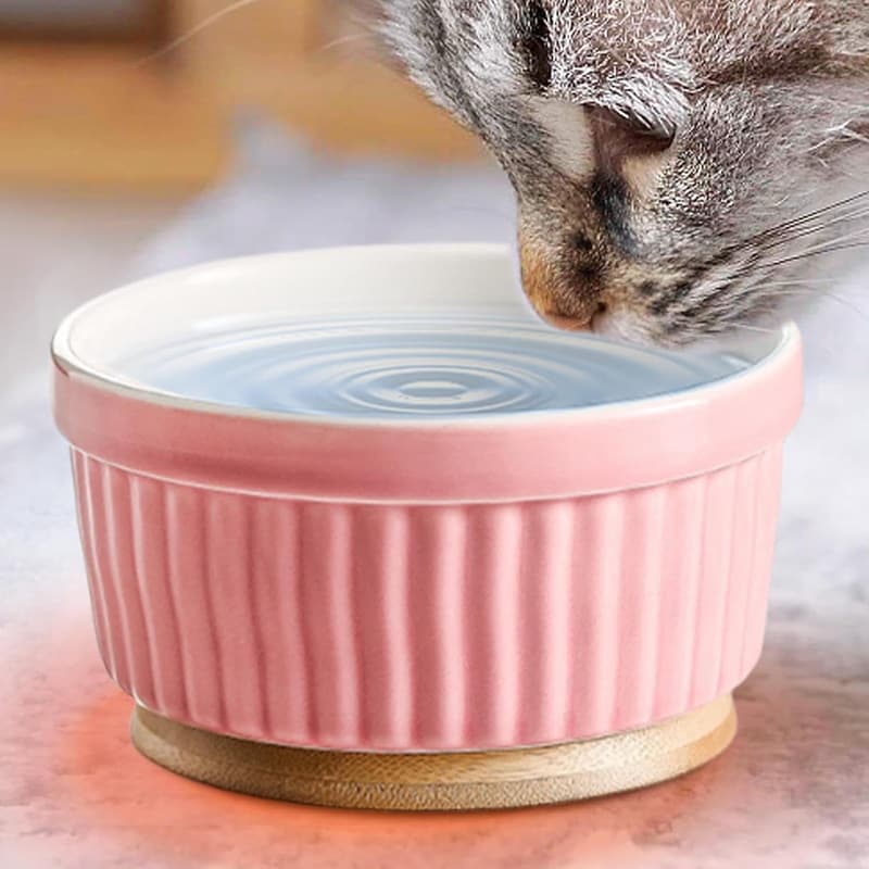Beheizter Wassernapf aus Keramik für Katzen und Hunde im Winter