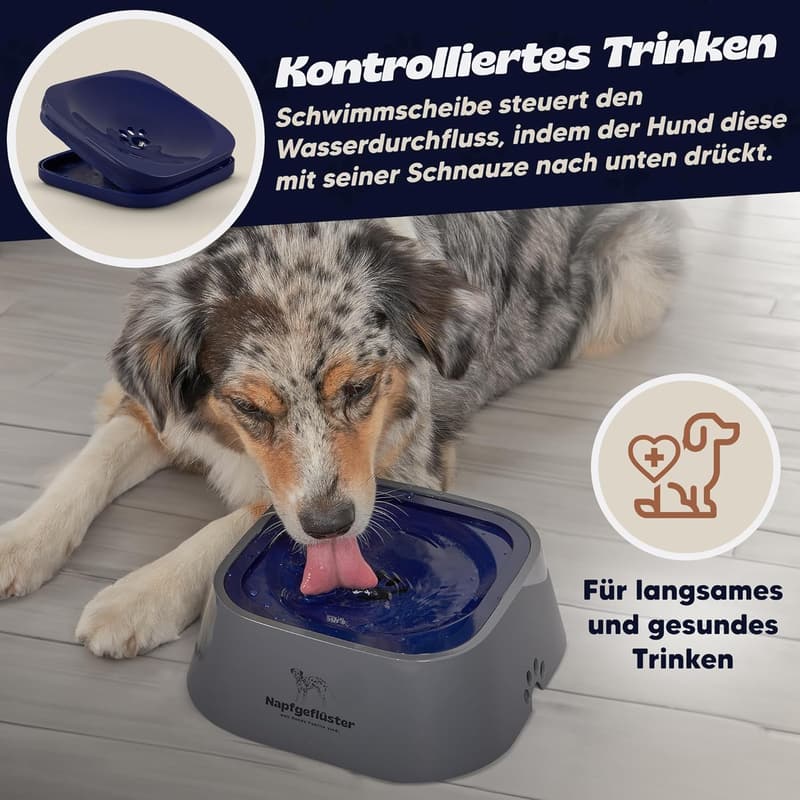 Wassernapf für Hunde und Katzen - Auslaufsicher, 1L fassend