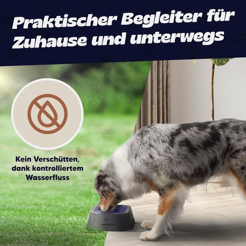 Wassernapf für Hunde und Katzen - Auslaufsicher, 1L fassend