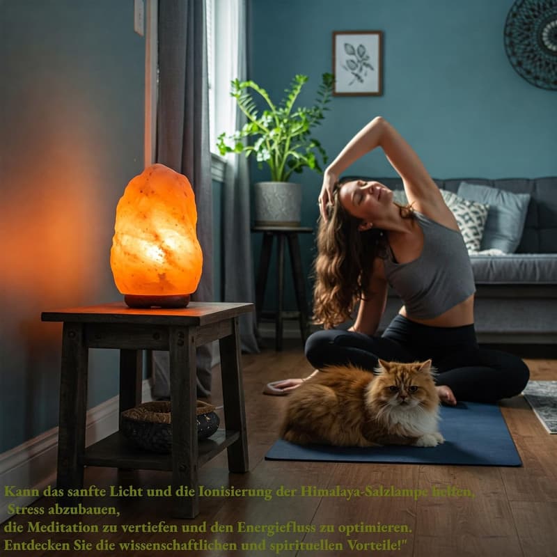 Himalaya Salzkristall Lampe - Natürliche Tischlampe (1-2 kg)