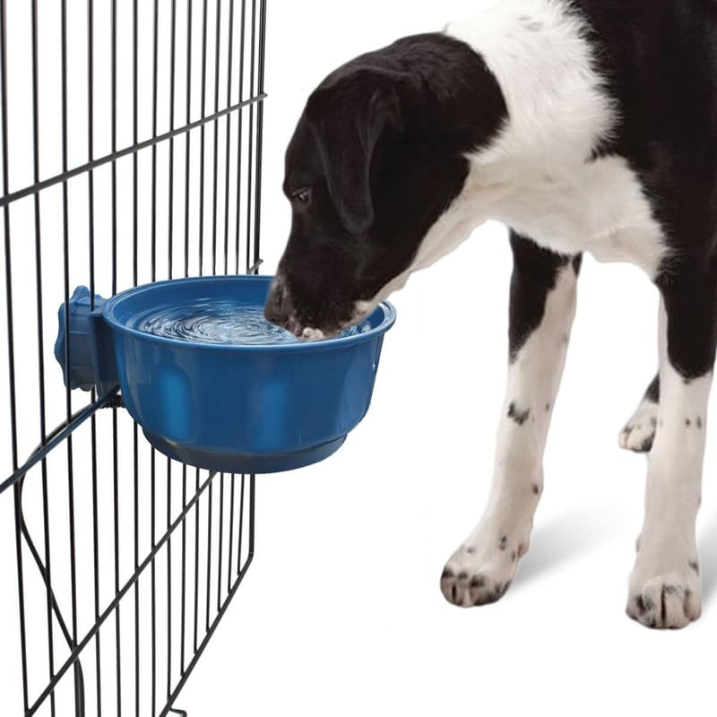 Beheizter Wassernapf für Hunde – Verhindert einfrierendes Wasser