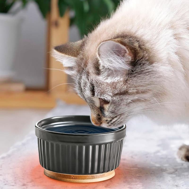 Beheizter Keramik-Wassernapf für Katzen und Hunde im Winter