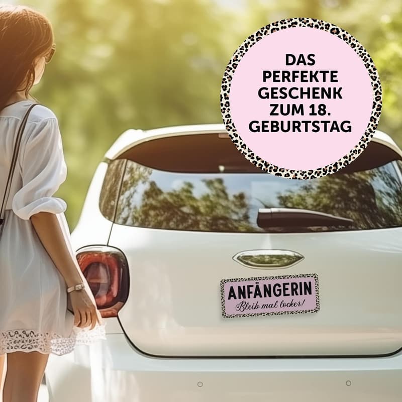 Führerschein Geschenk: Magnetschild für Fahranfänger 25 x 10 cm