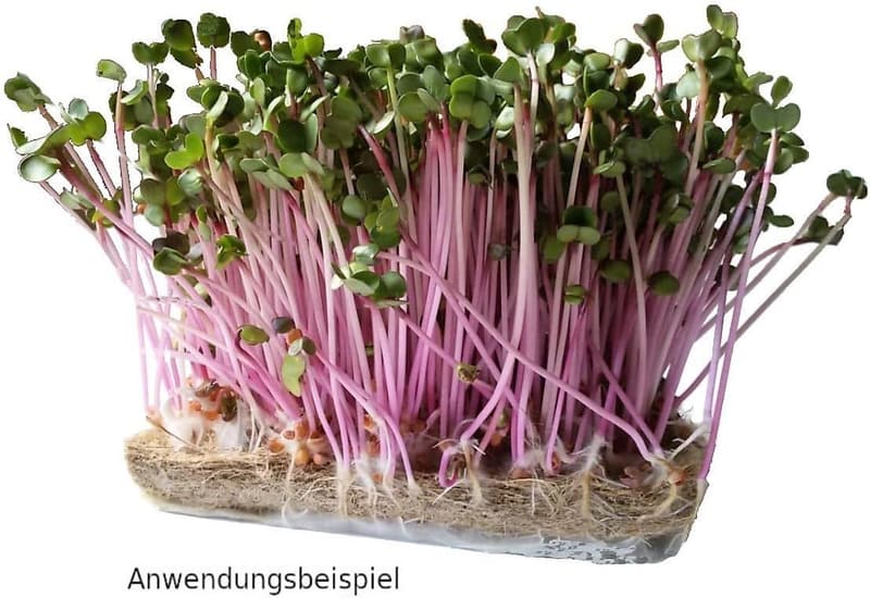 Biologisch abbaubare Anzuchtmatte aus 100% Hanf, 5er Pack, 40 x 25 cm