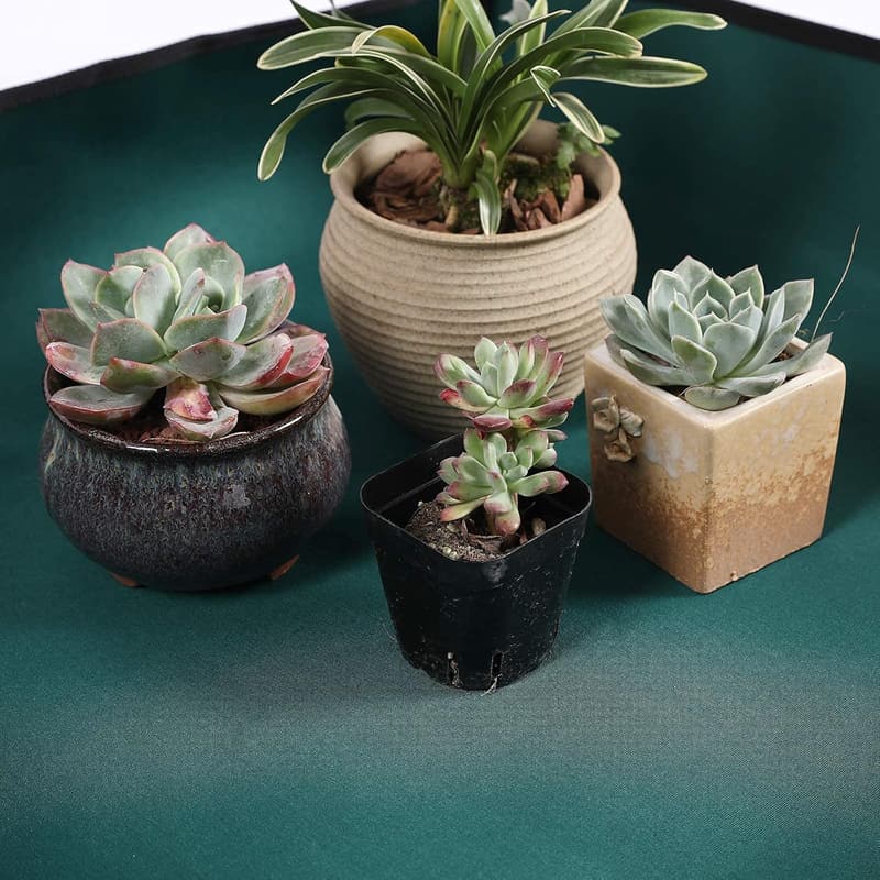 Wasserdichte Umtopfmatte für Sukkulenten – 110 x 75 cm