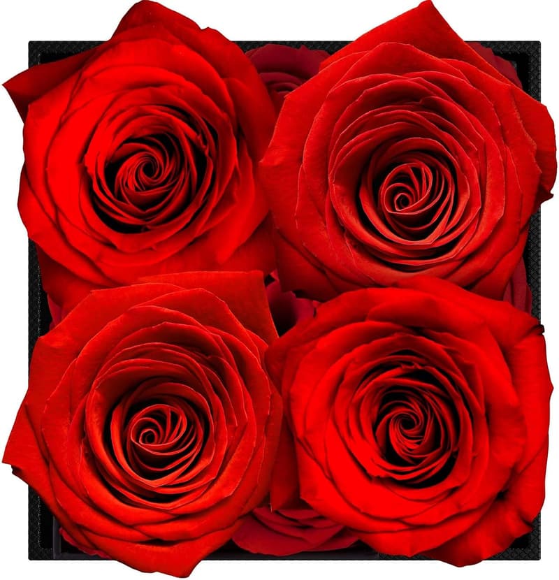 Ewige Rosenbox mit 4 konservierten Rosen für Frauen