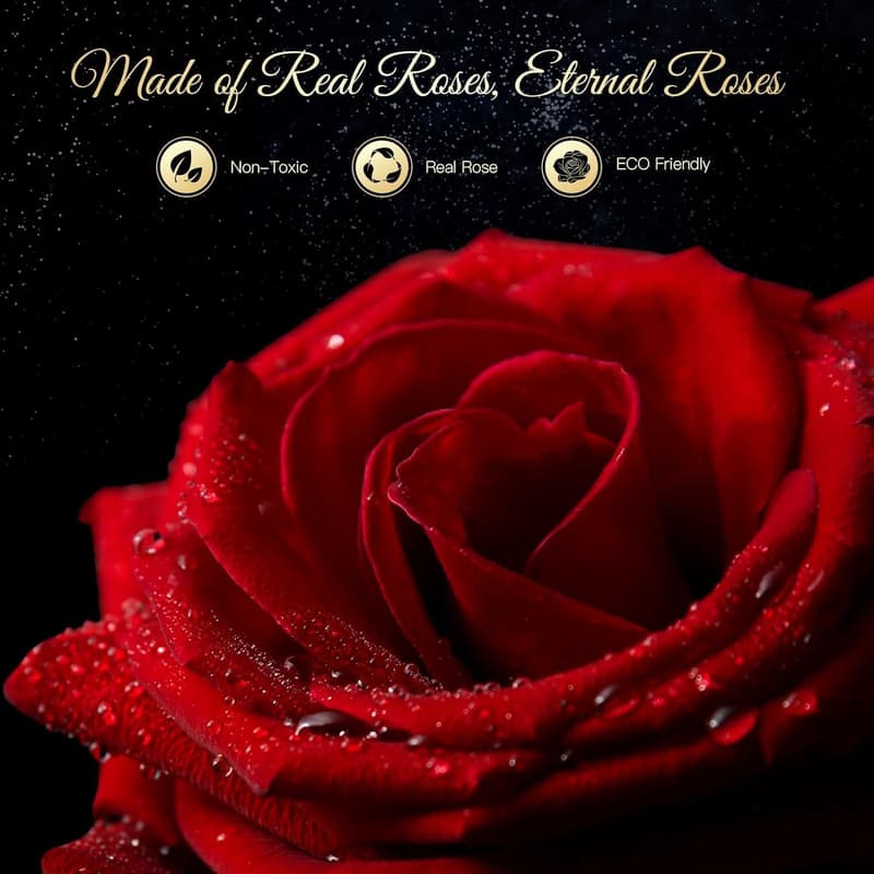 Ewige Rosen Geschenkbox für Frauen – Konservierte Infinity Rose mit Kette