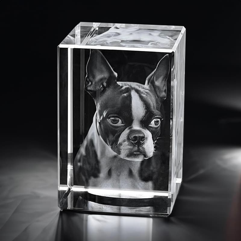 3D Glasfoto mit Gravur für 2 Personen/Tiere – Kristall S hoch (80x50x50mm)